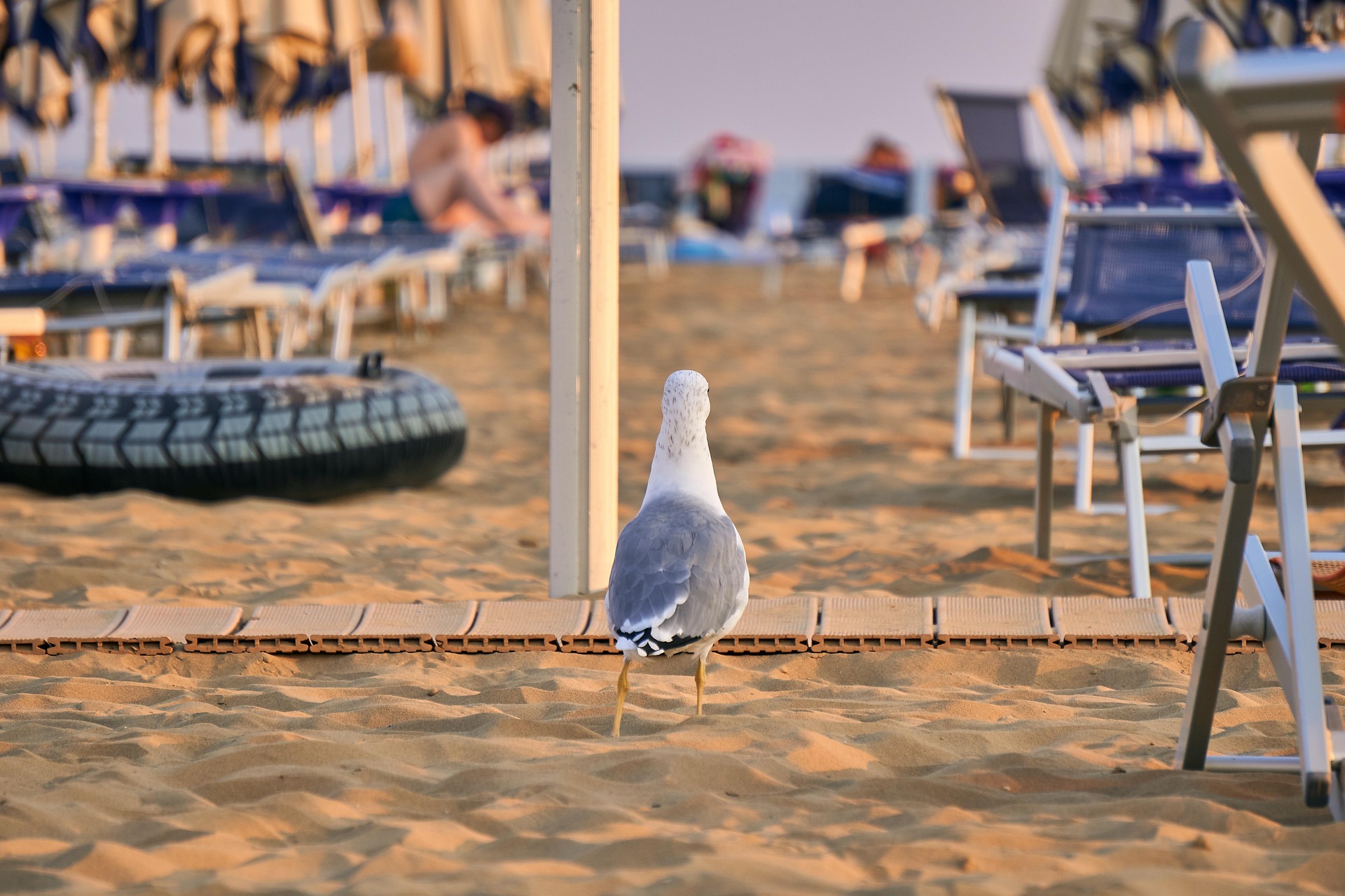 Bibione, Strand, Familienurlaub,