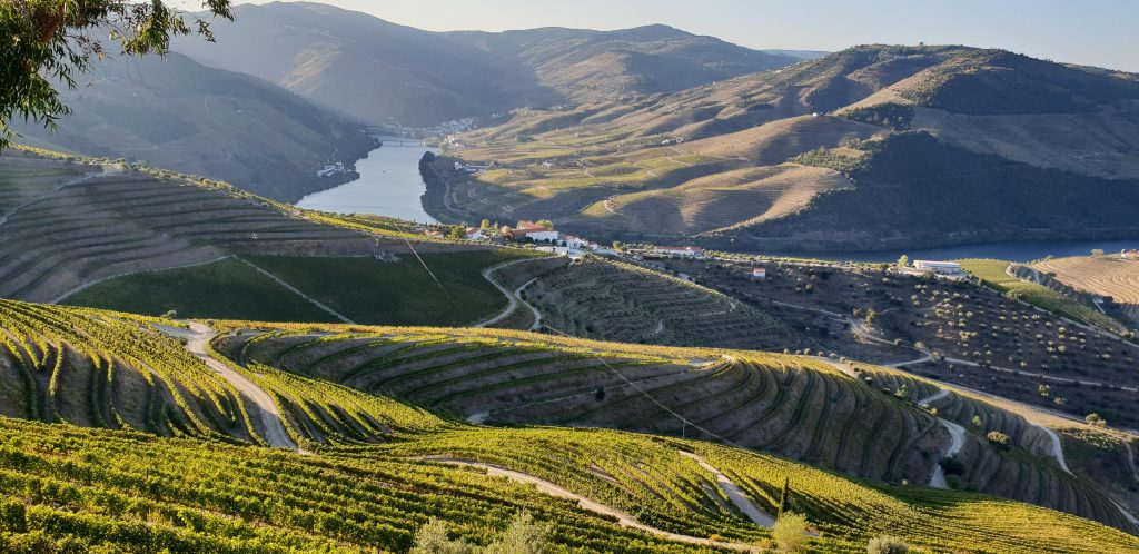 Douro-Tal