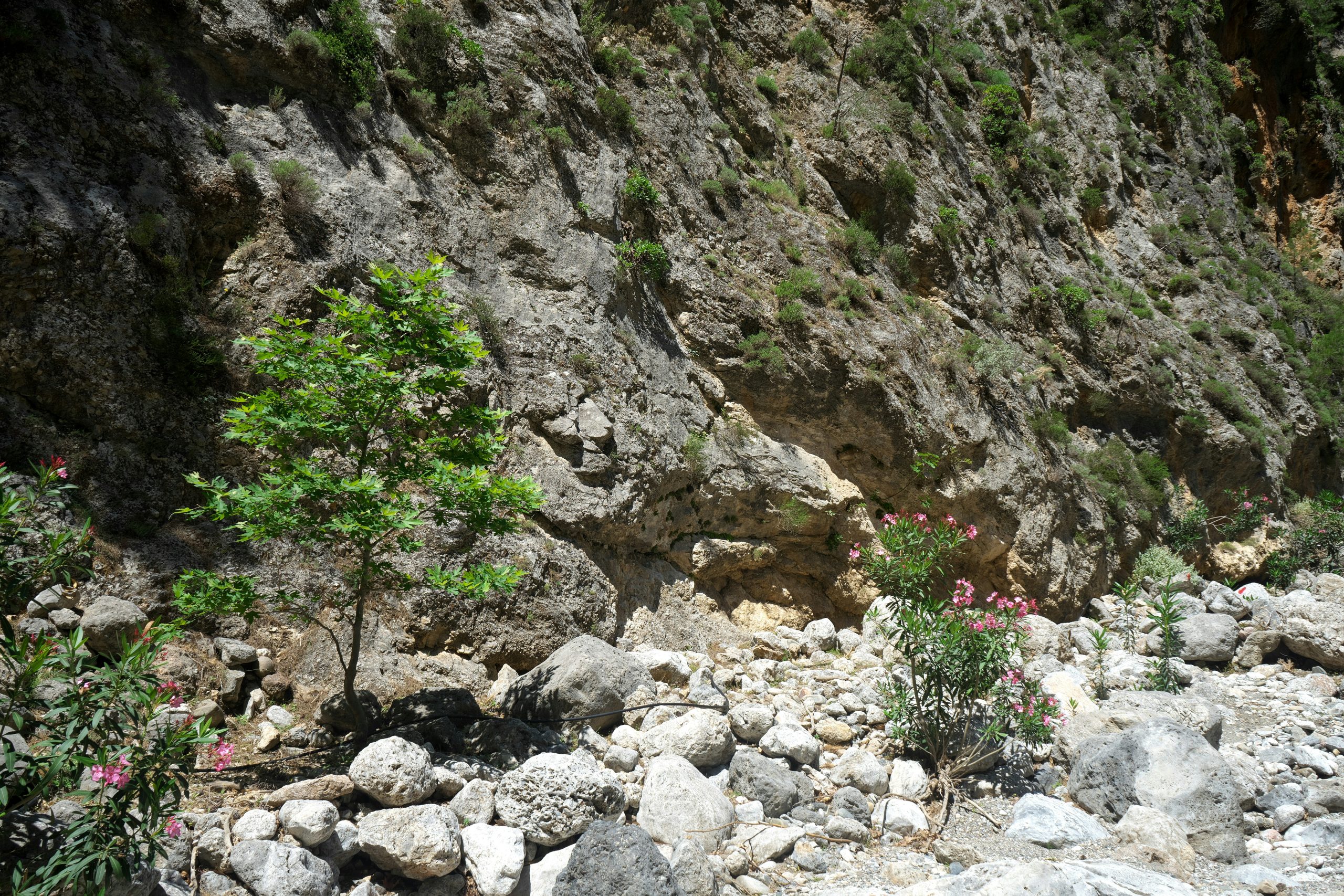 Samaria-Schlucht